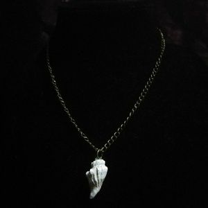 Natural Florida shell necklace in gold tone